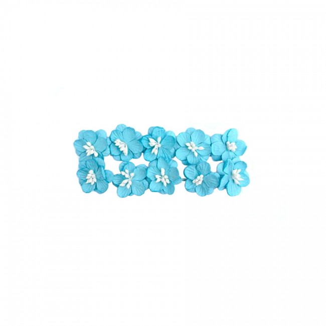 Cherry Blossom, 10 Pcs Rose