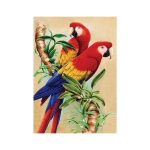 Laste Maalikomplekt Papagoid