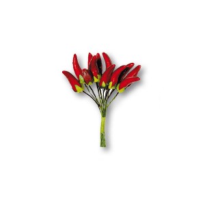 12 Chili Peppers Bouquet