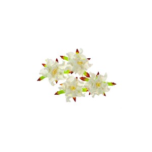 Gardenia 5Cm 4 Pcs In A Pack White