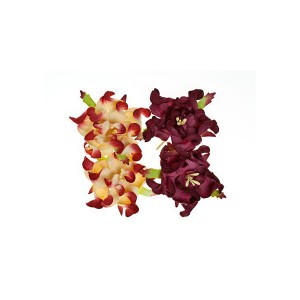 Gardenia 5Cm 4 Pcs In A Pack Bordeaux/Cream&Bordeaux