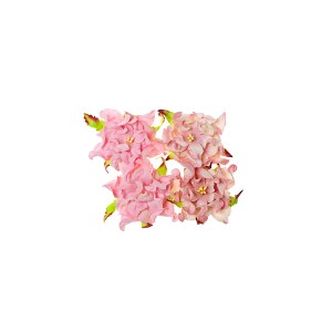 Gardenia 7Cm 4 Pcs In A Pack Pink/Pink&White