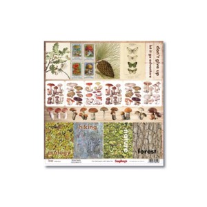 Scrapbookingu paber 30x30 cm-   Forest Natural Beauty 190Gsm