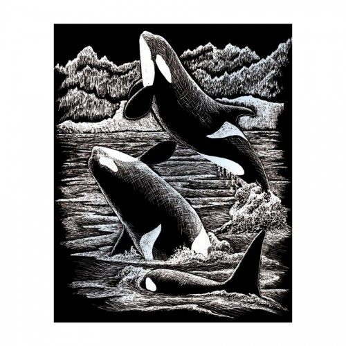 Silver Foil/Orca Whales