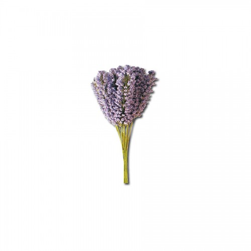 12 Lavender Stalks With Leaves Bouquet