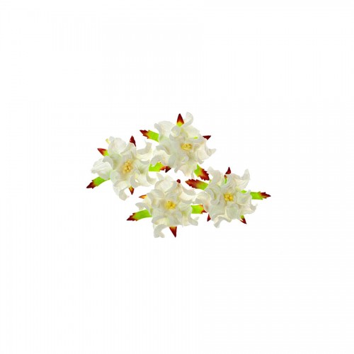 Gardenia 5Cm 4 Pcs In A Pack White