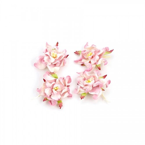 Gardenia 5Cm 4 Pcs In A Pack Pink&White