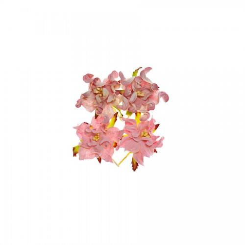 Gardenia 5Cm 4 Pcs In A Pack Pink/Pink&White
