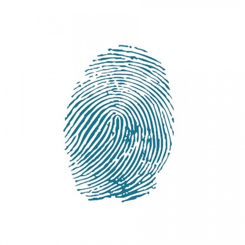 Sabloon  20X25Cm/0,2Mm Fingerprint