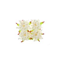 Gardenia 7Cm 4 Pcs In A Pack White