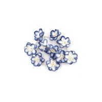 Cherry Blossom, 10 Pcs White With Blue