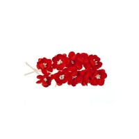 Cherry Blossom, 10 Pcs Red