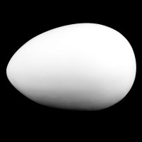 Kipskuju Muna