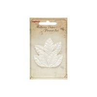 Lehed Valged, 7 Tk, Small Leaves Of A Rose