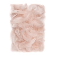 Suled 5-12Cm,10 G ,"Nude"