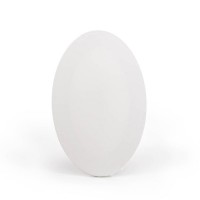 Puuvillane lõuend alusraamil 1,8x3,8cm, Ümmargune Lõuend Mdf Raamiga (1,8Cm) - D25Cm