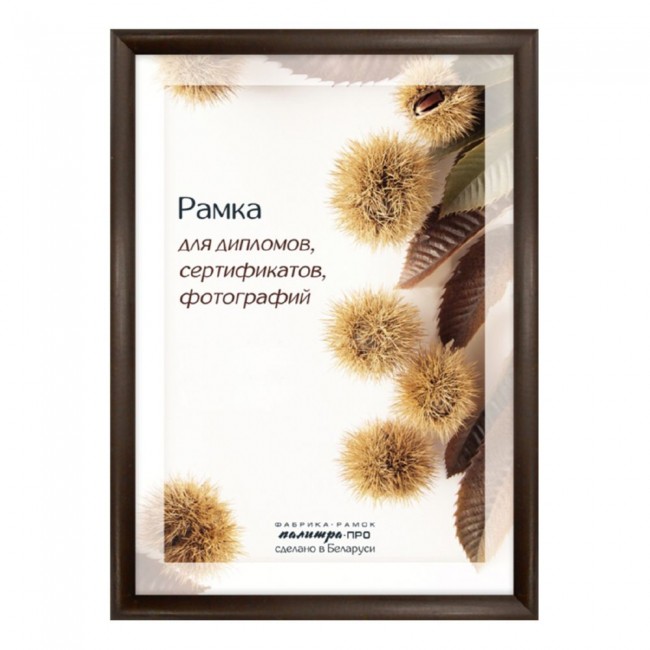 Рамка дерев. со стеклом 21х30 Д14КЛО/1246 (коричне