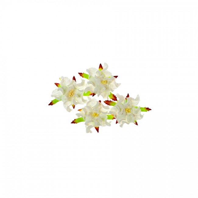 Gardenia 5Cm 4 Pcs In A Pack White