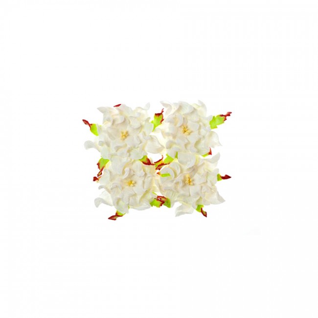 Gardenia 7Cm 4 Pcs In A Pack White
