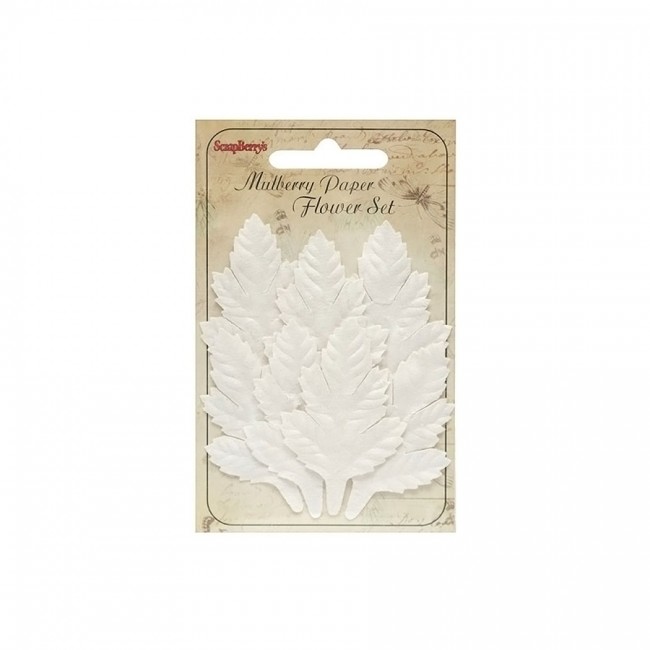 Set Of Leaflets, 7 Pcs, Cedar, White