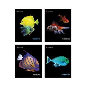 Тетрадь 48Л, Клетка А5 "Aquarium Fish", Обложка Ме