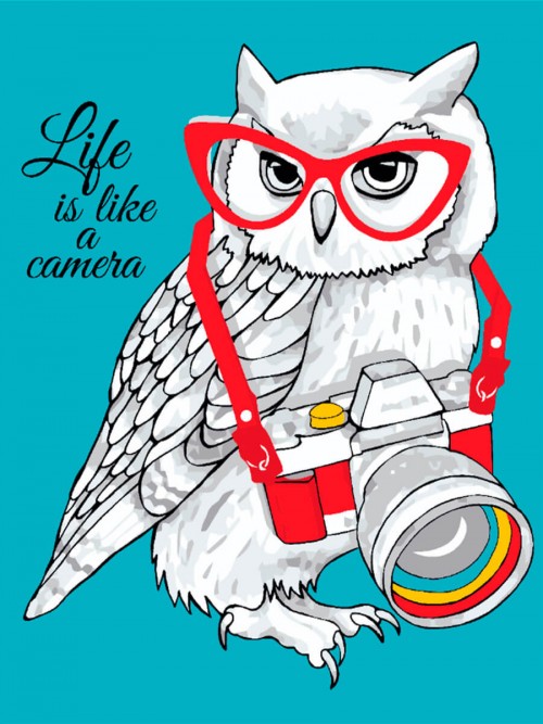 Painting by numbers:: "Owl - the Photographer"    
