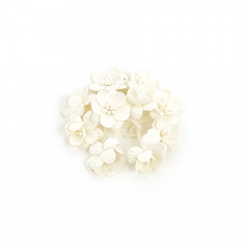 Cherry Blossom, 10 Pcs White