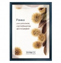 Рамка дерев. со стеклом 21х30 Д14КЛО/1236 (синяя) 