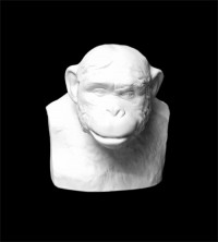 Гипсовая модель Шимпанзе бюст, 14 х 13 х 15 см