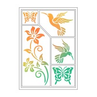 Kolibri