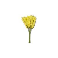 12 Mimoses Bouquet