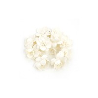 Cherry Blossom, 10 Pcs White