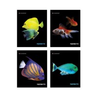Тетрадь 48Л, Клетка А5 "Aquarium Fish", Обложка Ме
