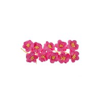 Cherry Blossom, 10 Pcs Rose