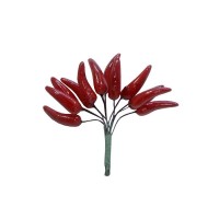 12Pcs Of 28*9Mm Chilli/Bundle