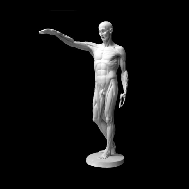 Plaster Cast The Figure Gudon