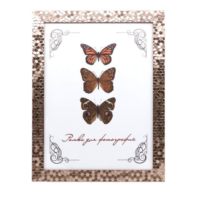 Plastic frame with glass 21х30 1566/032 (grey-brown metallic)