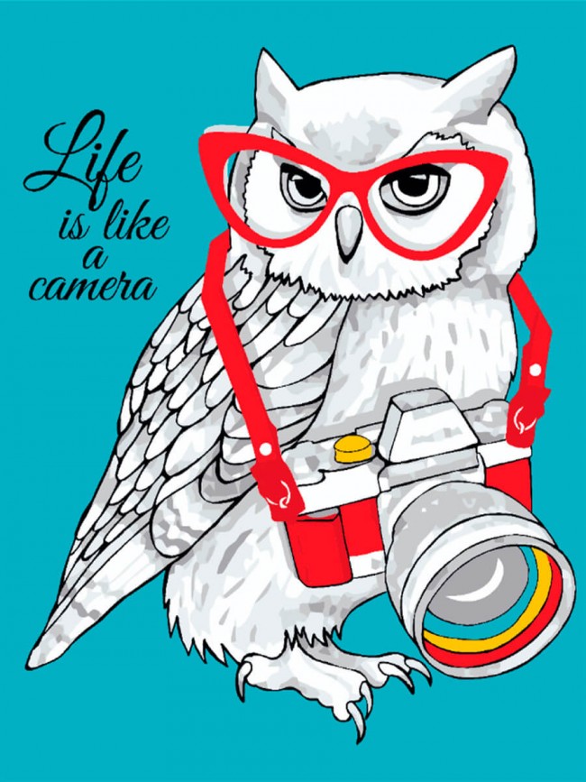 Painting by numbers:: "Owl - the Photographer"