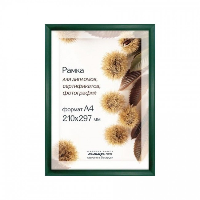 Wooden frame with glass 21х30  D14KLO/2232 (green)