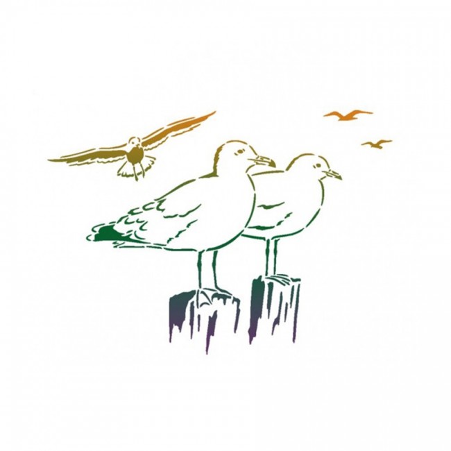 Gulls A3