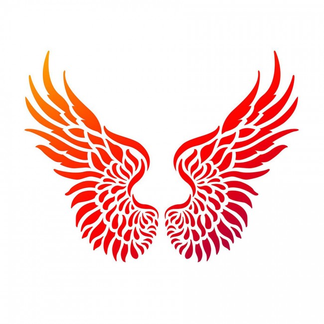 A4 Wings