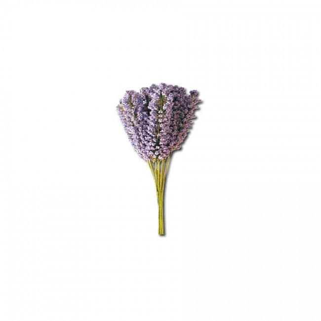 12 Lavender Stalks With Leaves Bouquet