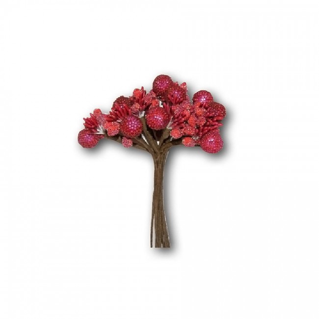Red Fruits Bouquet