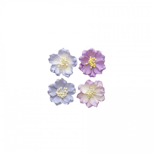 Gardenia Mix Pink, Set 4 Pcs, Dia 5Cm