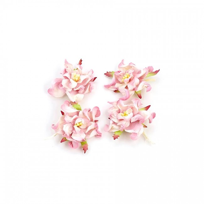 Gardenia 5Cm 4 Pcs In A Pack Pink&White
