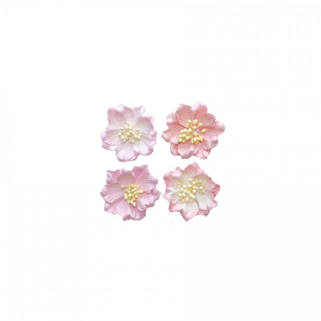 Gardenia Pale Pink, A Set Of 4 Pcs, Dia 5Cm