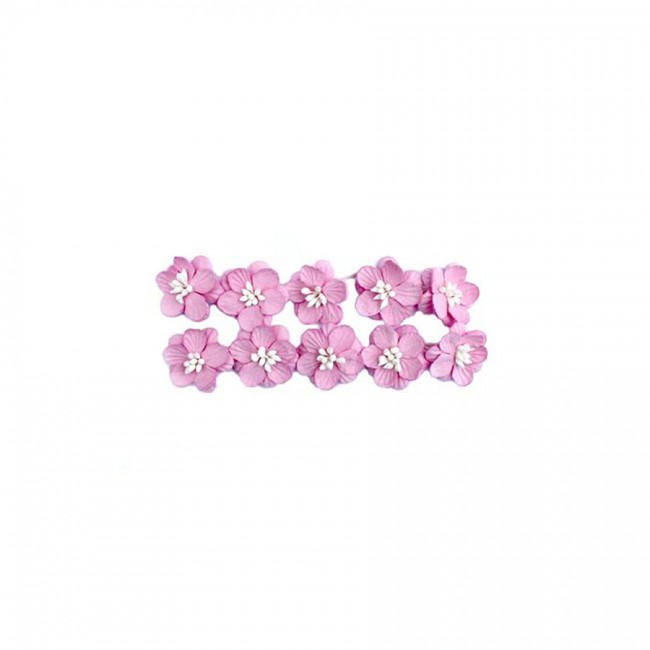 Cherry Blossom, 10 Pcs Violet White