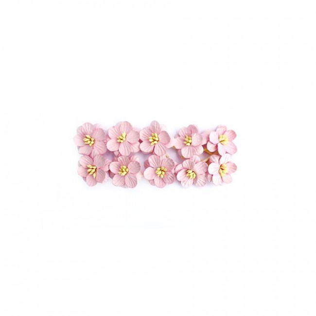 Cherry Blossom, 10 Pcs Light-Rose