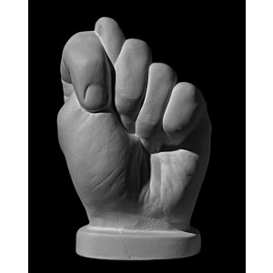 Plaster Cast. Fig Sign