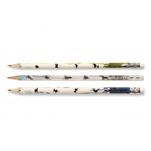 Graphite Pencils with eraser Sport
